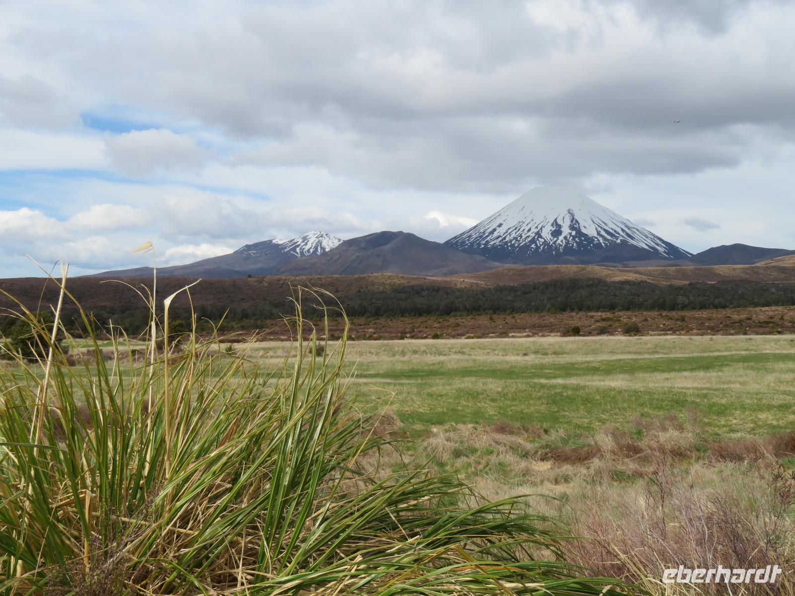 Tongariro Nationalpark &ndash; &copy; Juliane Voigt (Eberhardt TRAVEL)