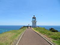 Cape Reinga &ndash; &copy; Juliane Voigt (Eberhardt TRAVEL)