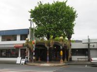 Kawakawa - Hundertwasser-Toilette &ndash; &copy; Juliane Voigt (Eberhardt TRAVEL)