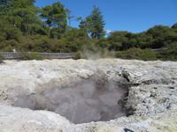 Wai-O-Tapu &ndash; &copy; Juliane Voigt (Eberhardt TRAVEL)