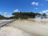 Wai-O-Tapu &ndash; &copy; Juliane Voigt (Eberhardt TRAVEL)