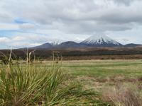 Tongariro Nationalpark &ndash; &copy; Juliane Voigt (Eberhardt TRAVEL)