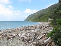 Kapiti Island &ndash; &copy; Juliane Voigt (Eberhardt TRAVEL)