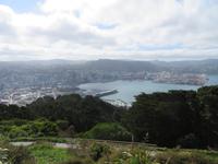 Wellington - Mount Victoria Aussichtspunkt &ndash; &copy; Juliane Voigt (Eberhardt TRAVEL)