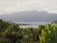 Lake Hawea &ndash; &copy; Juliane Voigt (Eberhardt TRAVEL)