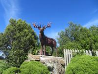 Queenstown - Te Anau &ndash; &copy; Juliane Voigt (Eberhardt TRAVEL)