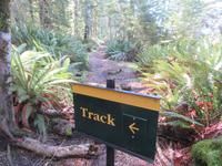 Te Anau - Keplertrek &ndash; &copy; Juliane Voigt (Eberhardt TRAVEL)