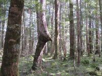 Te Anau - Keplertrek &ndash; &copy; Juliane Voigt (Eberhardt TRAVEL)