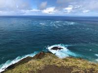 Tagesausflug Cape Reinga Neuseeland  &ndash; &copy; Sabine Letzybyll (Eberhardt TRAVEL)