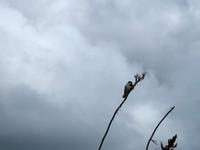 Tagesausflug Cape Reinga Neuseeland  &ndash; &copy; Sabine Letzybyll (Eberhardt TRAVEL)