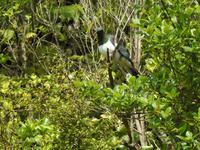 Neuseeland &ndash; &copy; Sabine Letzybyll (Eberhardt TRAVEL)