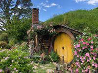 Hobbiton Matamata Neuseeland  &ndash; &copy; Sabine Letzybyll (Eberhardt TRAVEL)