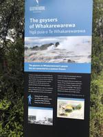 Te Puia Neuseeland  &ndash; &copy; Sabine Letzybyll (Eberhardt TRAVEL)