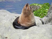 Neuseeland &ndash; &copy; Sabine Letzybyll (Eberhardt TRAVEL)