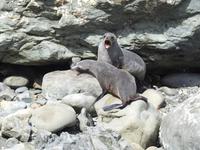 Neuseeland &ndash; &copy; Sabine Letzybyll (Eberhardt TRAVEL)