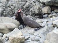 Neuseeland &ndash; &copy; Sabine Letzybyll (Eberhardt TRAVEL)