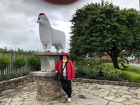 Frohe Weihnachten aus Neuseeland &ndash; &copy; Sabine Letzybyll (Eberhardt TRAVEL)