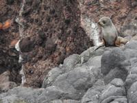 Neuseeland &ndash; &copy; Sabine Letzybyll (Eberhardt TRAVEL)