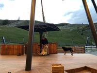 Schaffarm Queenstown &ndash; &copy; Sabine Letzybyll (Eberhardt TRAVEL)