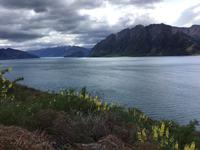 Neuseeland &ndash; &copy; Sabine Letzybyll (Eberhardt TRAVEL)