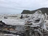 Neuseeland &ndash; &copy; Sabine Letzybyll (Eberhardt TRAVEL)