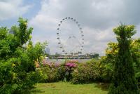 Singapore Flyer &ndash; &copy; Susanne Schirmann (Eberhardt TRAVEL)