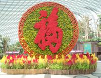 Flower Dome in Singapur (2) &ndash; &copy; Susanne Schirmann (Eberhardt TRAVEL)
