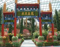 Flower Dome in Singapur (10) &ndash; &copy; Susanne Schirmann (Eberhardt TRAVEL)