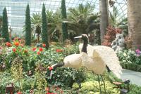 Flower Dome in Singapur (11) &ndash; &copy; Susanne Schirmann (Eberhardt TRAVEL)