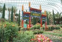 Flower Dome in Singapur (12) &ndash; &copy; Susanne Schirmann (Eberhardt TRAVEL)
