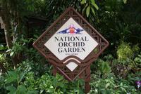 Orchideengarten Singapur &ndash; &copy; Susanne Schirmann (Eberhardt TRAVEL)