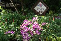 DSC01794 &ndash; &copy; Susanne Schirmann (Eberhardt TRAVEL)