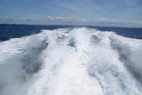 Bay of Islands (2) &ndash; &copy; Susanne Schirmann (Eberhardt TRAVEL)