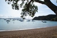 Bay of Islands (5) &ndash; &copy; Susanne Schirmann (Eberhardt TRAVEL)