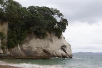 Wanderung Cathedral Cove (7) &ndash; &copy; Susanne Schirmann (Eberhardt TRAVEL)