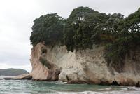 Wanderung Cathedral Cove (8) &ndash; &copy; Susanne Schirmann (Eberhardt TRAVEL)