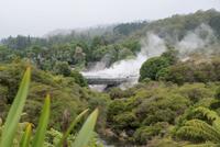 Geysire &ndash; &copy; Susanne Schirmann (Eberhardt TRAVEL)