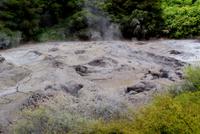 Geysire (2) &ndash; &copy; Susanne Schirmann (Eberhardt TRAVEL)