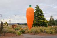 Ohakune (2) &ndash; &copy; Susanne Schirmann (Eberhardt TRAVEL)