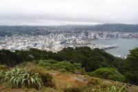 Wellington (2) &ndash; &copy; Susanne Schirmann (Eberhardt TRAVEL)