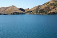 Cook Strait (5) &ndash; &copy; Susanne Schirmann (Eberhardt TRAVEL)