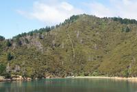 Cook Strait (8) &ndash; &copy; Susanne Schirmann (Eberhardt TRAVEL)
