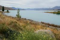 Lake Tekapo (4) &ndash; &copy; Susanne Schirmann (Eberhardt TRAVEL)