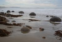 Moeraki Boulders (7) &ndash; &copy; Susanne Schirmann (Eberhardt TRAVEL)