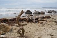 Moeraki Boulders (8) &ndash; &copy; Susanne Schirmann (Eberhardt TRAVEL)