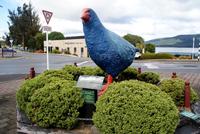 Takahe &ndash; &copy; Susanne Schirmann (Eberhardt TRAVEL)