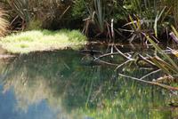 Mirror Lakes (5) &ndash; &copy; Susanne Schirmann (Eberhardt TRAVEL)