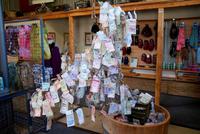 Makarora Country Café (2) &ndash; &copy; Susanne Schirmann (Eberhardt TRAVEL)