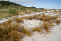 Tauparikaka Marine Reserve (2) &ndash; &copy; Susanne Schirmann (Eberhardt TRAVEL)