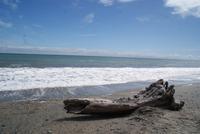 Tauparikaka Marine Reserve (5) &ndash; &copy; Susanne Schirmann (Eberhardt TRAVEL)